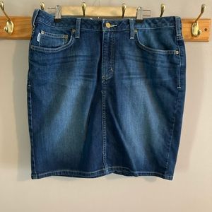 Carhartt Denim Skirt